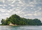5 Fascinating Reasons For You To Visit Andaman and Nicobar Islands