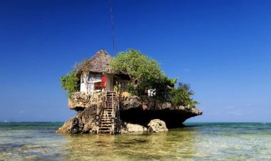 Top 5 Restaurants that Offers Never-before Experience: Fly Now