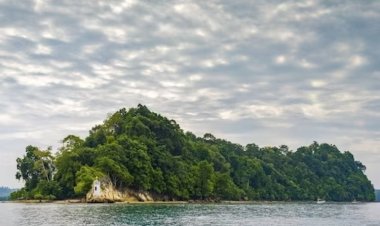 5 Fascinating Reasons For You To Visit Andaman and Nicobar Islands