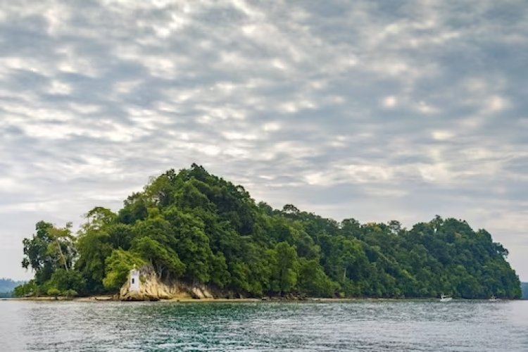5 Fascinating Reasons For You To Visit Andaman and Nicobar Islands